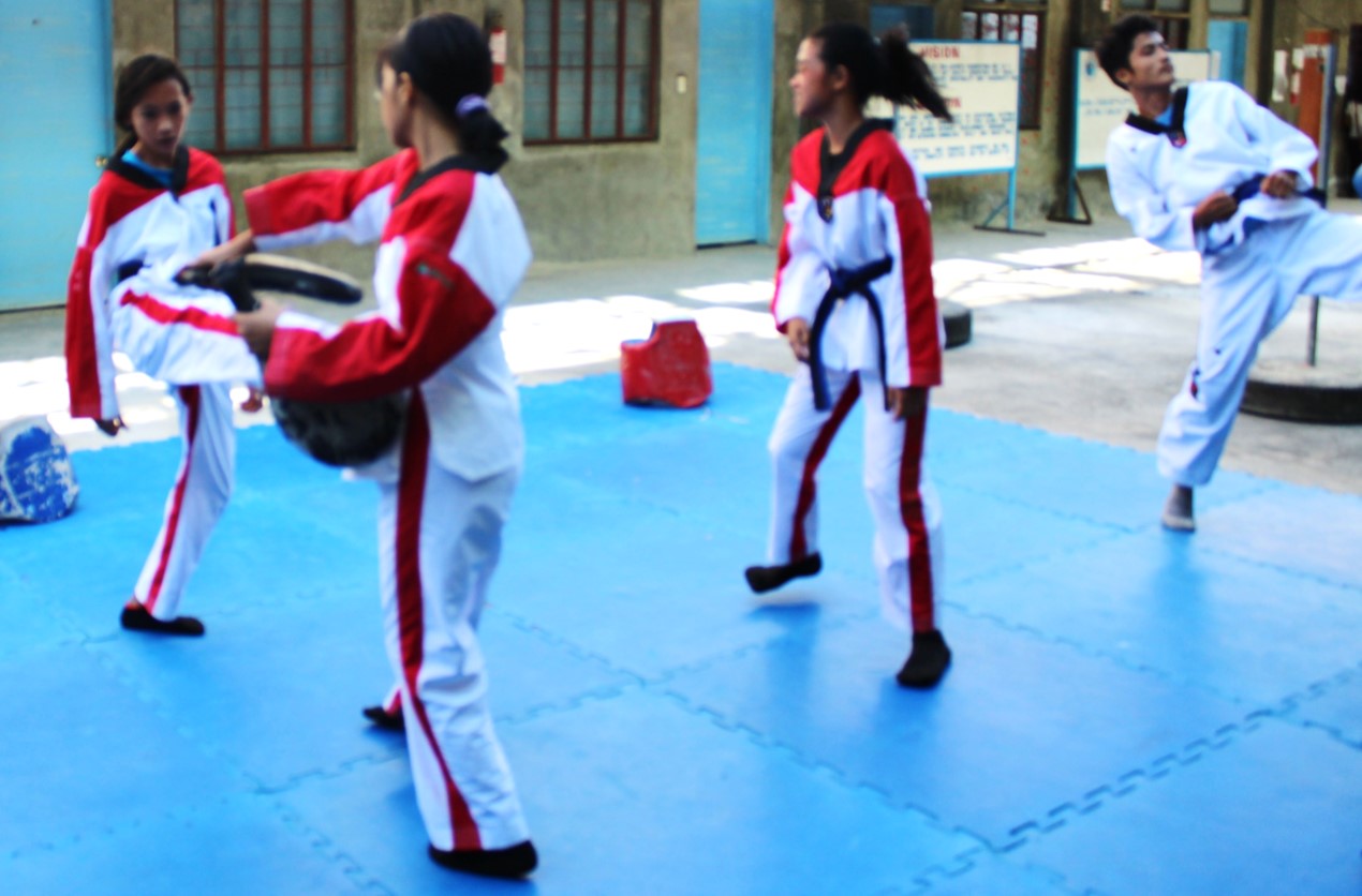 Taekwondo 8